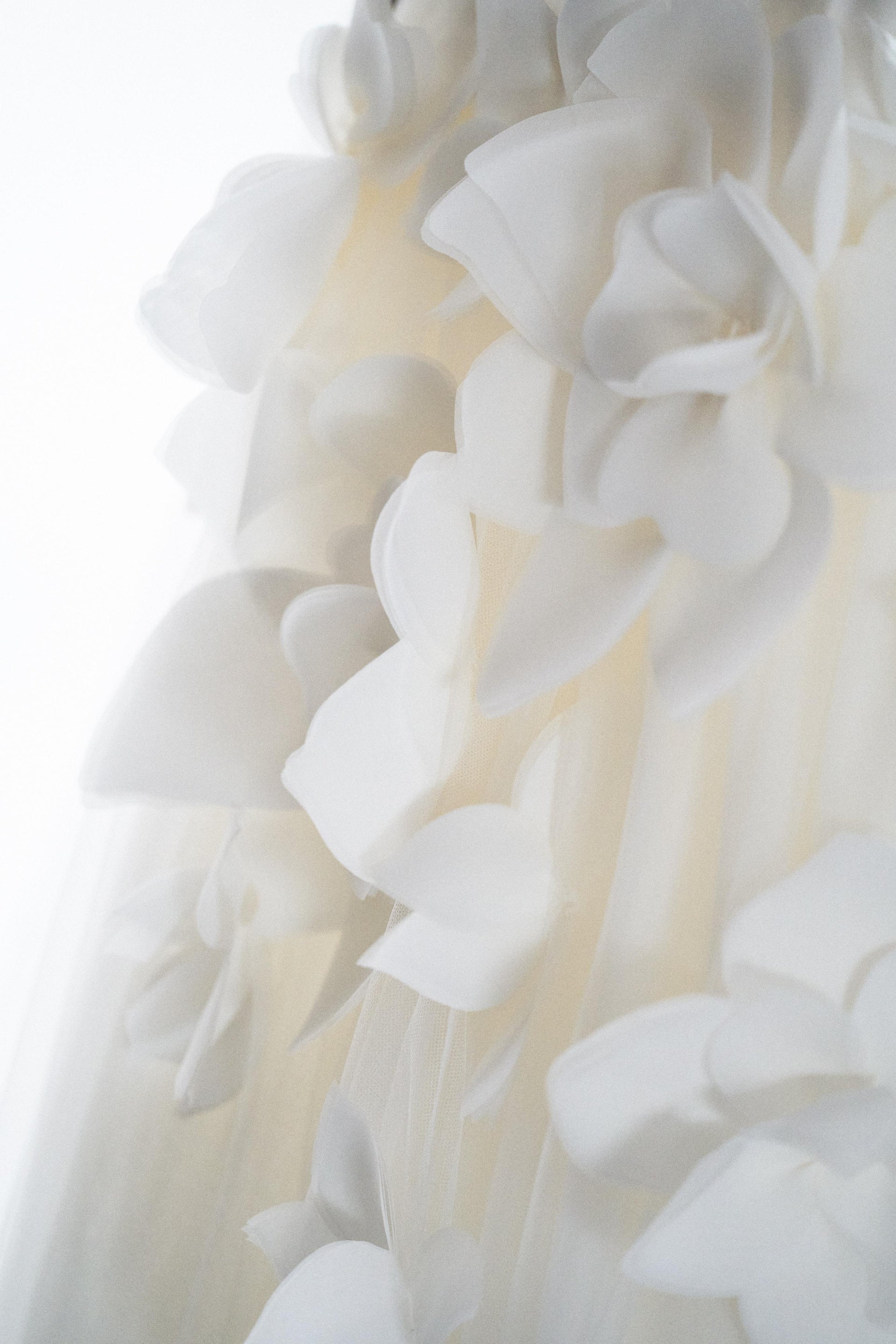 viktor rolf fashion website image