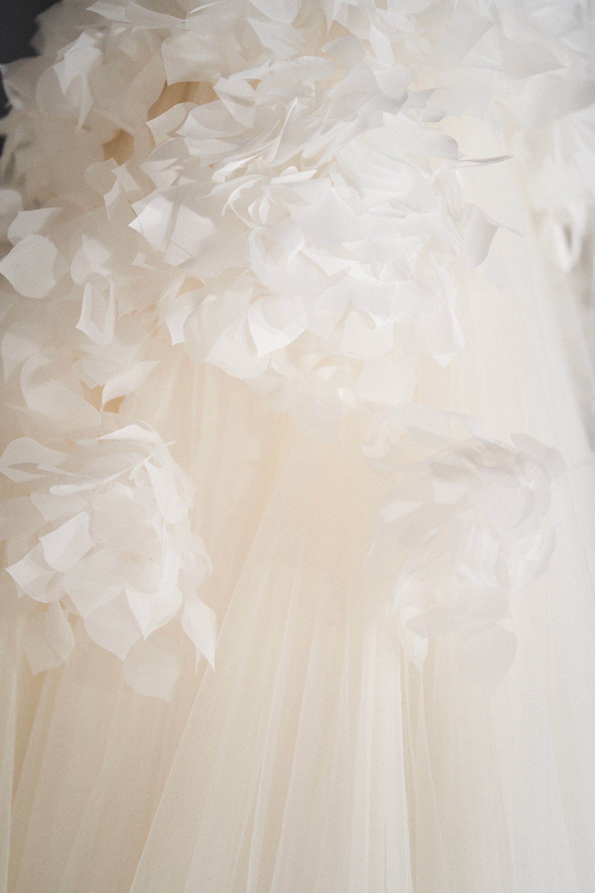 viktor rolf fashion website image