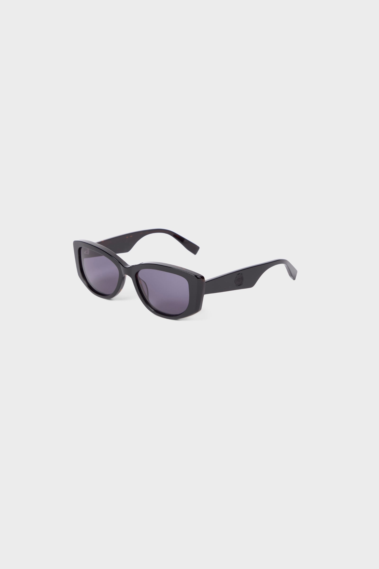 Semi-oval black sunglasses on a white background.
