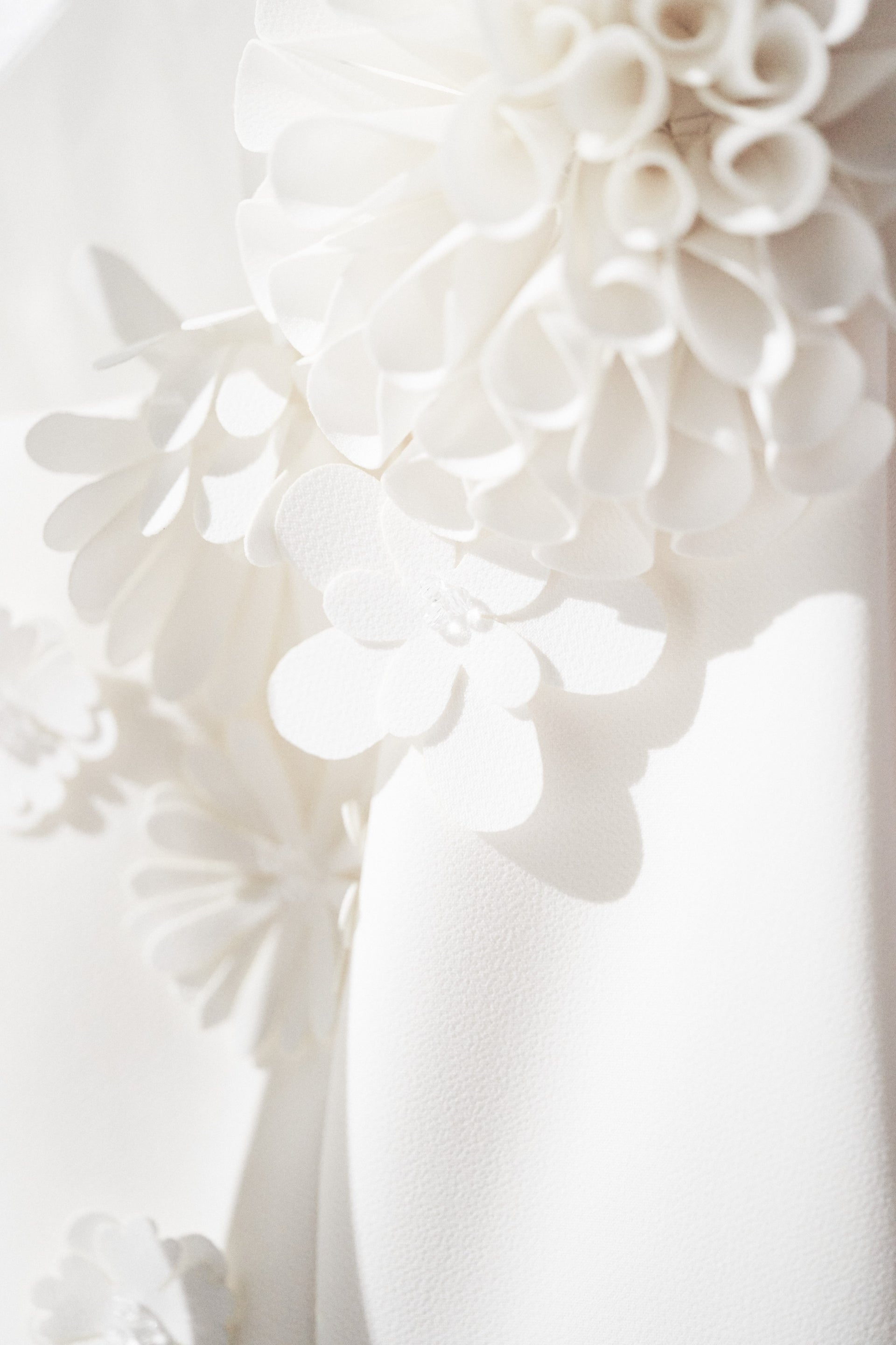 viktor & rolfe fashion website image