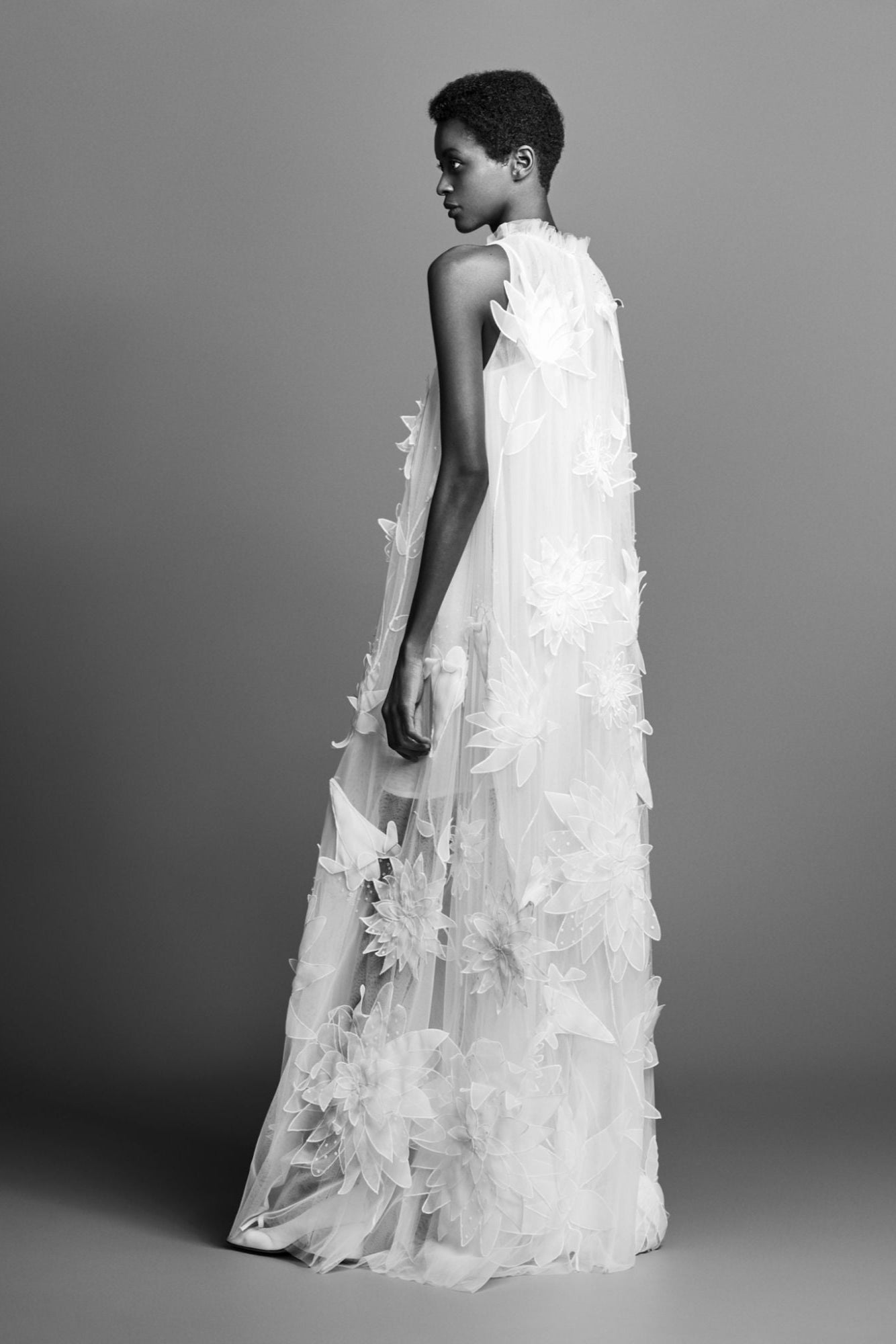 Ethereal sheath dress with a crystallised ruffle neckline