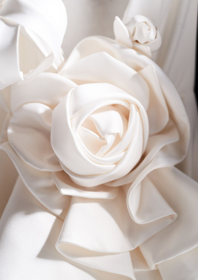 viktor&rolf fashion website