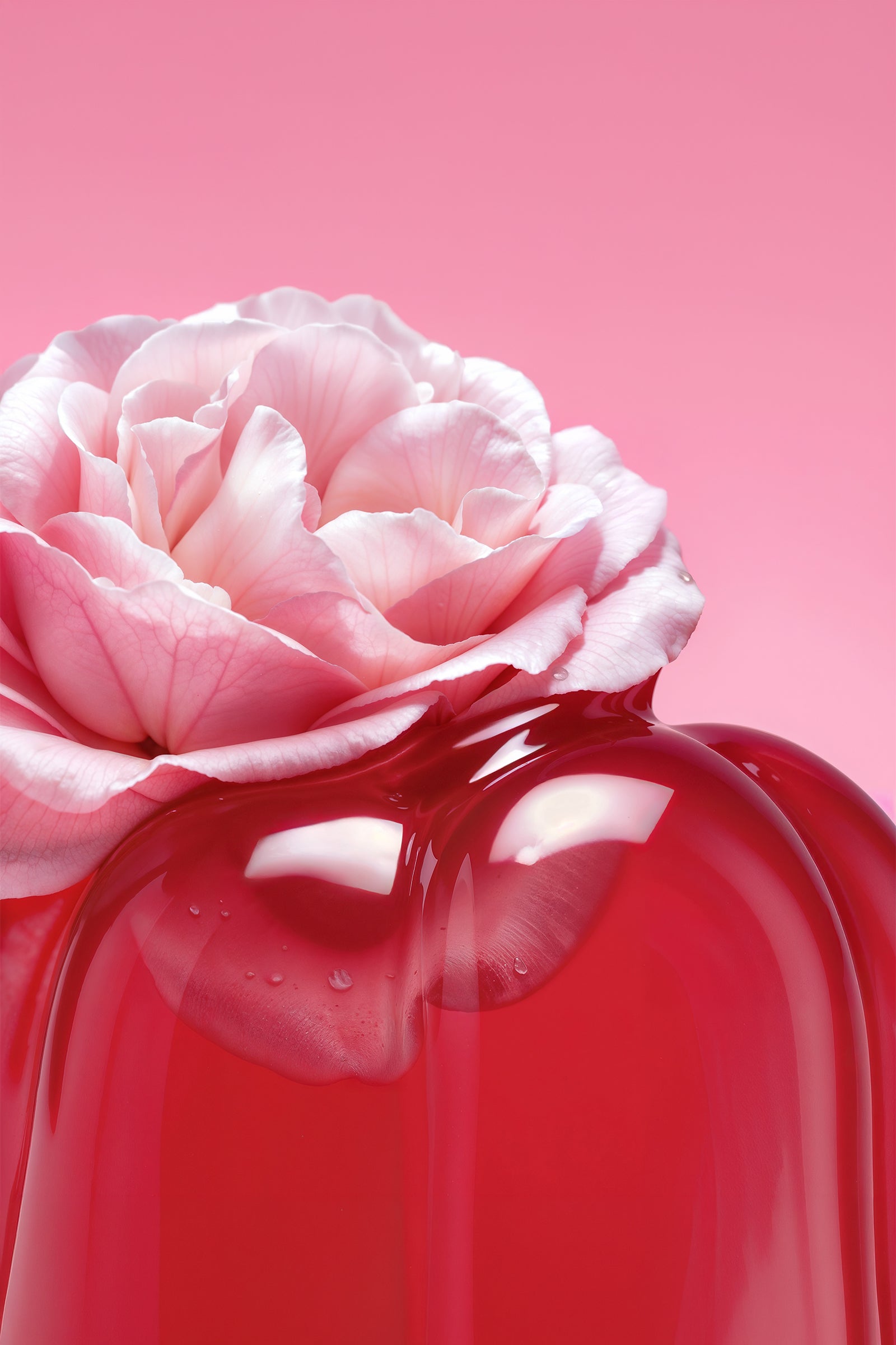 BONBON BUNDLE - JELLY FLOWER