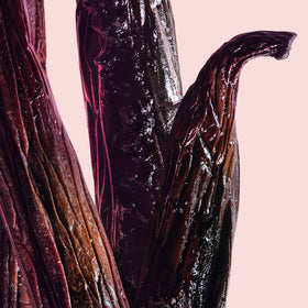 Close-up on a vanilla stick on a pink background.
