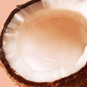 Close-up on a coconut.