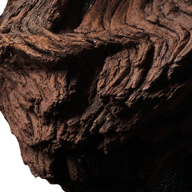 A piece of wood on a white background.
