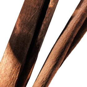 Close up on cinnamon sticks on a white background.