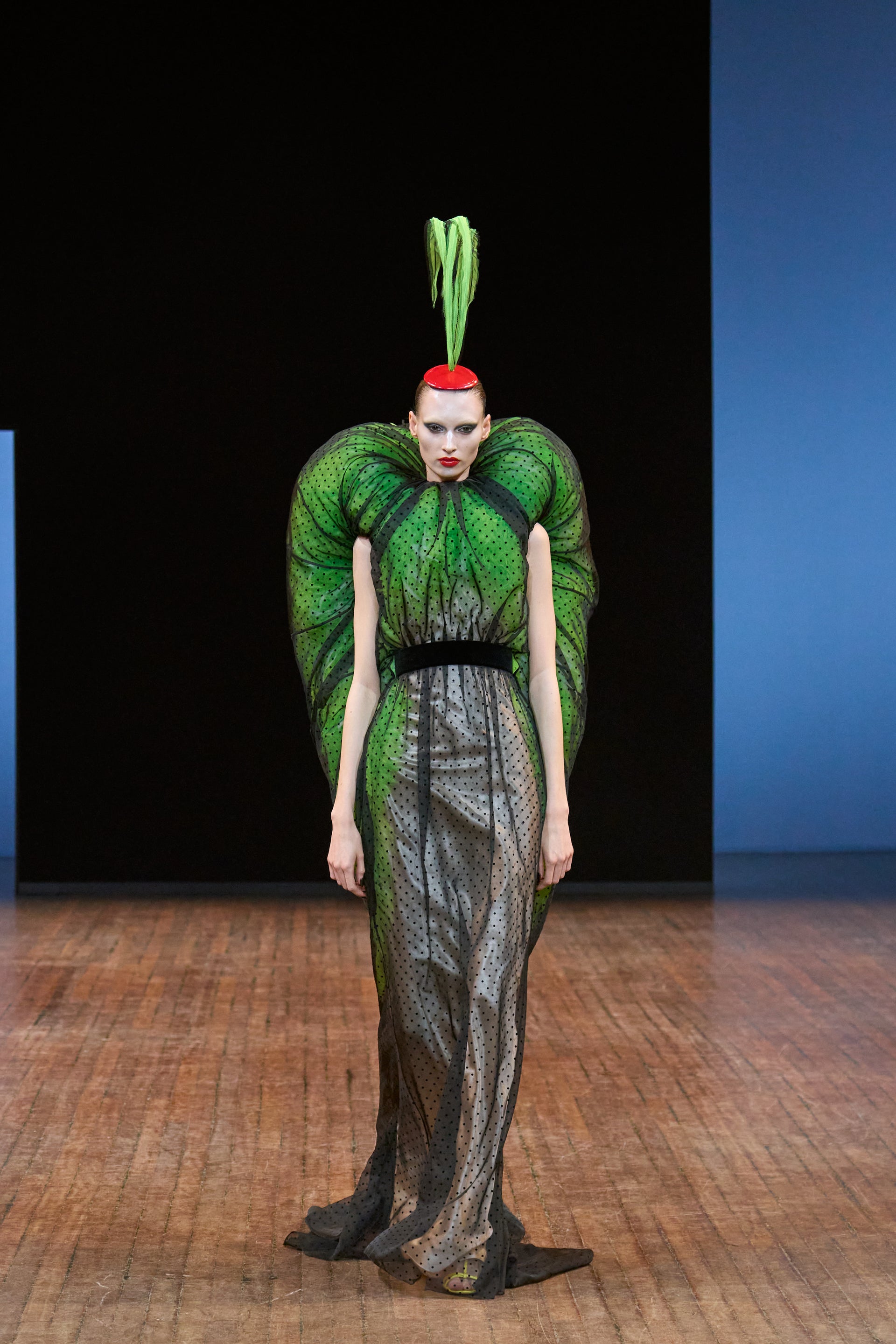 Viktor&Rolf Haute Couture Angry Birds show Autumn/Winter 2025, displaying one of the looks. The model is wearing a feather featured gown.