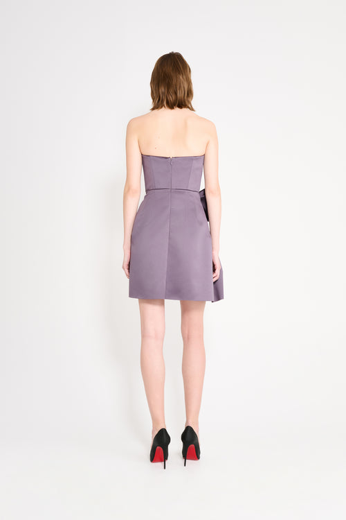 Model wearing a purple mini dress on a white background.