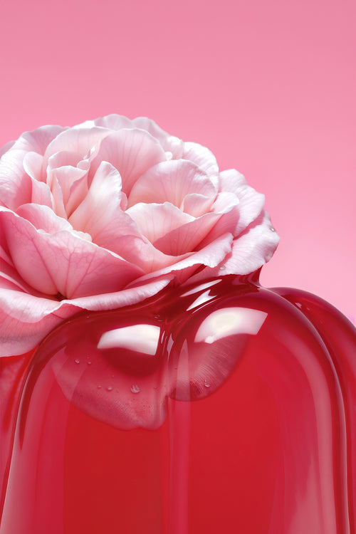 BONBON BUNDLE - JELLY FLOWER
