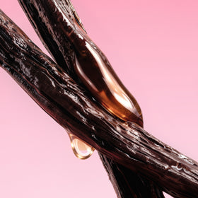 Vanilla bean with a drop of vanilla extract on a pink background