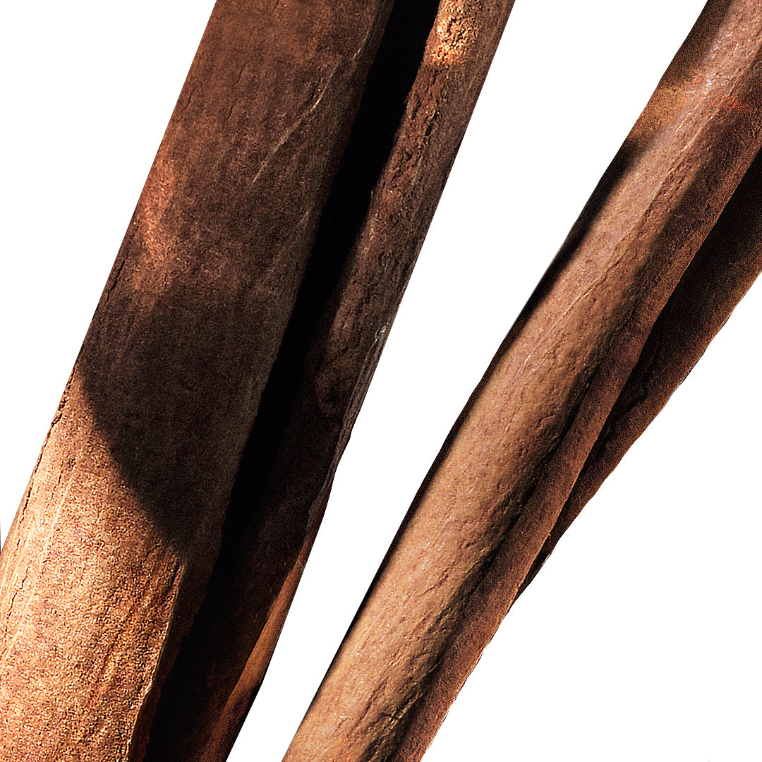 Close up on cinnamon sticks on a white background.