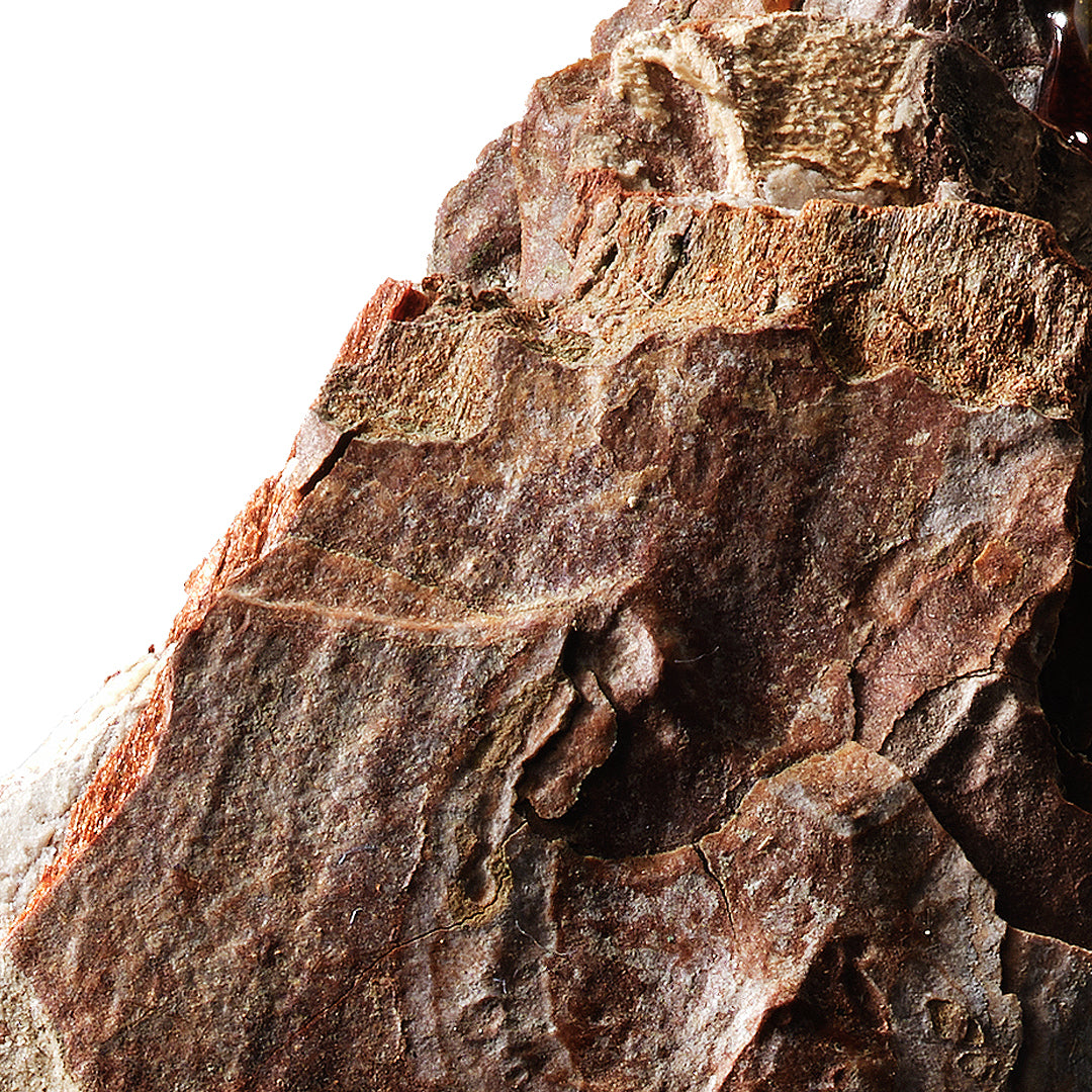 Zoom on a piece of wood.